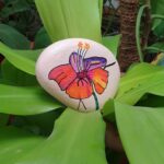 Stone painting by Nehal -Hibiscus